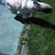 Image for article titled Shooting Challenge: Cellphone Gallery Part 8